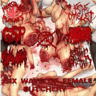 Botched Anastomosis J-Pouch : Six Ways of Female Butchery